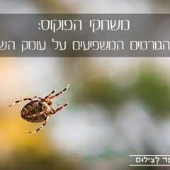 משחקי הפוקוס: 5 הגורמים המשפיעים על עומק השדה